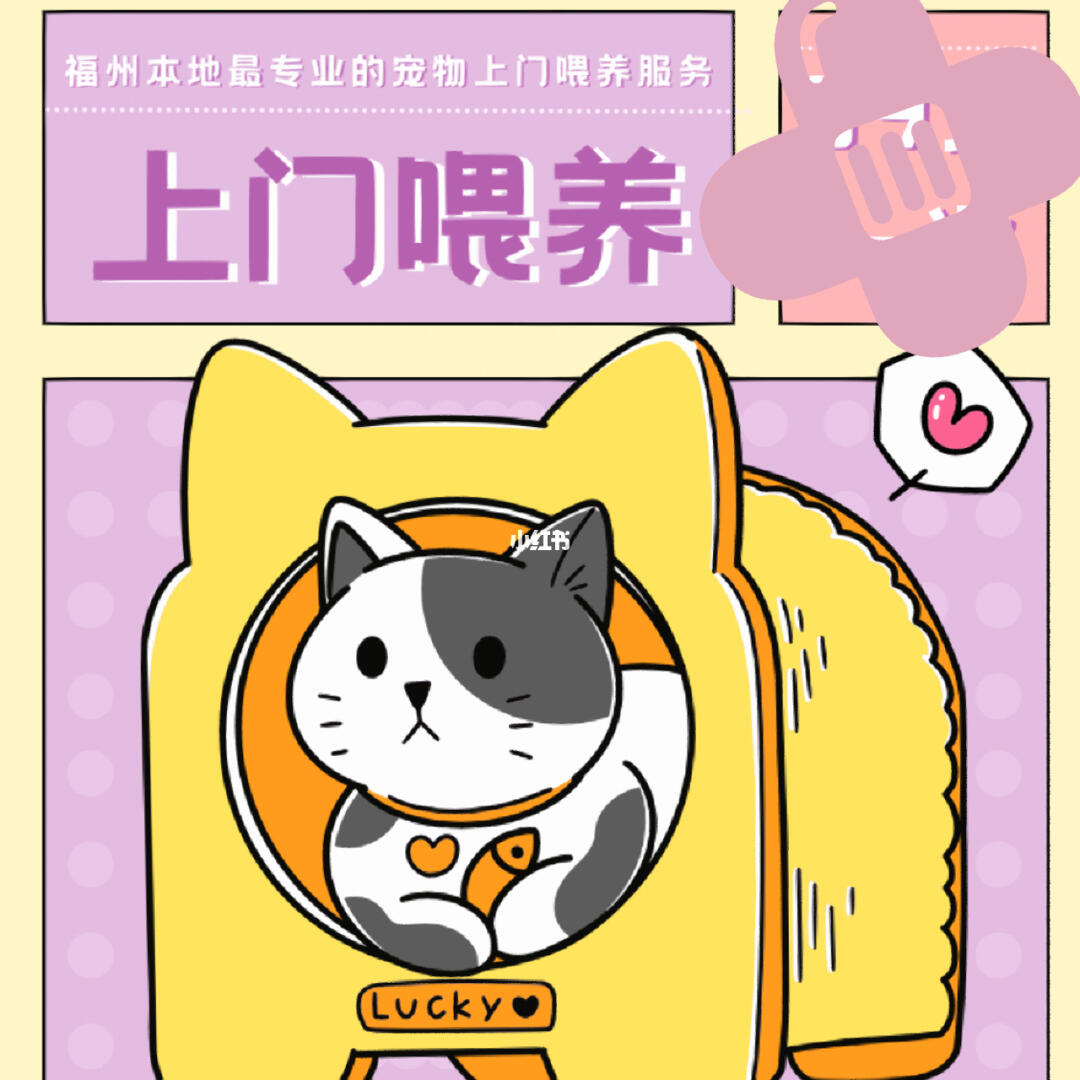 春節(jié)期間福州寵物上門喂養(yǎng)服務(wù)接單忙，用心守護(hù)毛孩子過(guò)年團(tuán)圓